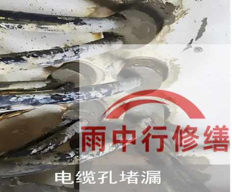 廊坊电缆线空洞堵漏加固案例