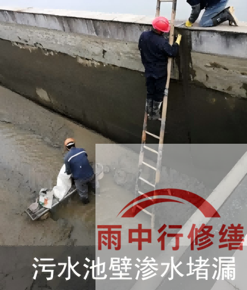 廊坊2026年防水龙头半月两次涨价，行业格局重塑信号